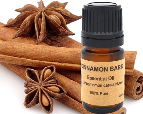 Cinnamon Bark Essential Oil 15 ml