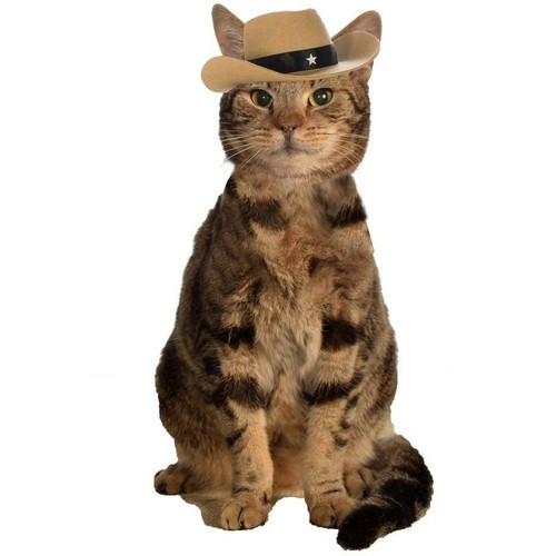 Brown Cowboy Cat Hat