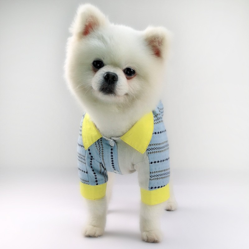 fashion-tide-brand-law-fighting-pet-clothes
