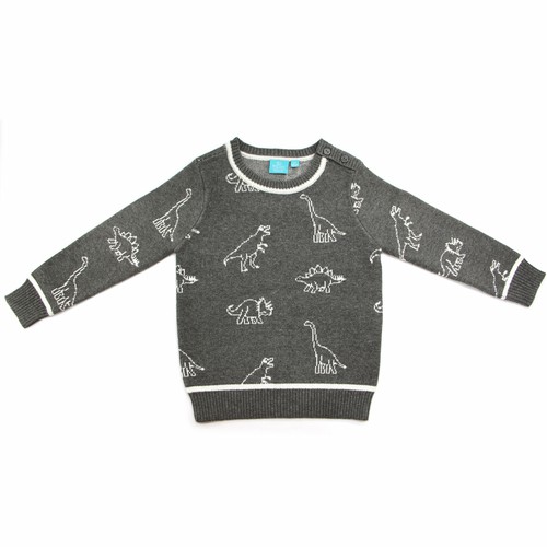 leon-dinosaur-sweater-baby